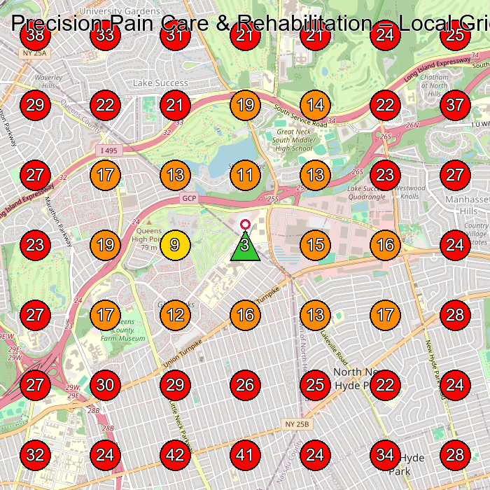 Precision Pain Care & Rehabilitation GeoGrid visibility map for Physical Therapy Clinic in Mineola